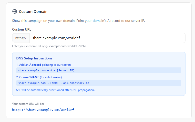 Custom Domain DNS Setup and Configuration