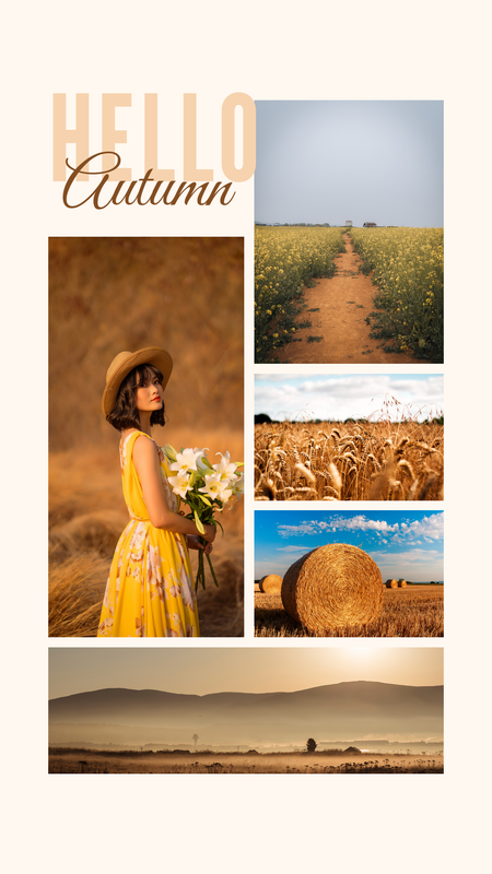 Golden Autumn Field Photo Collage